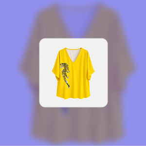 Blouses category